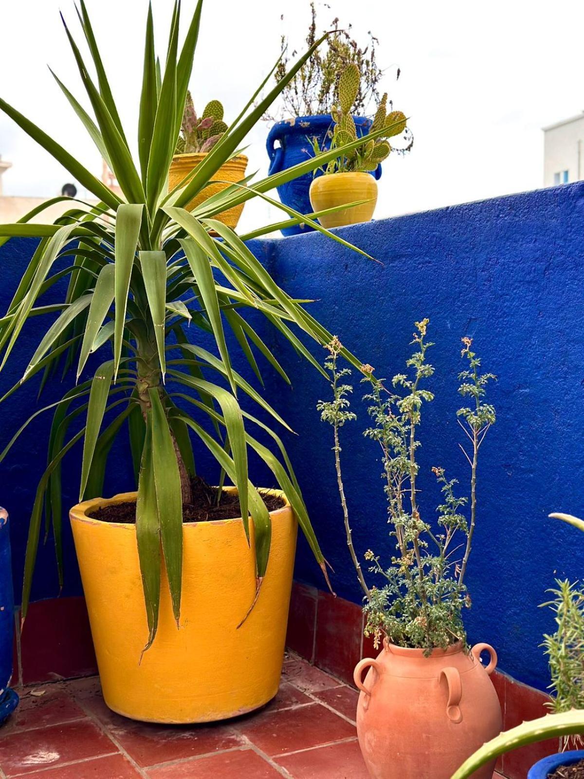 Nomads Hostel Tunisia Tunes Exterior foto