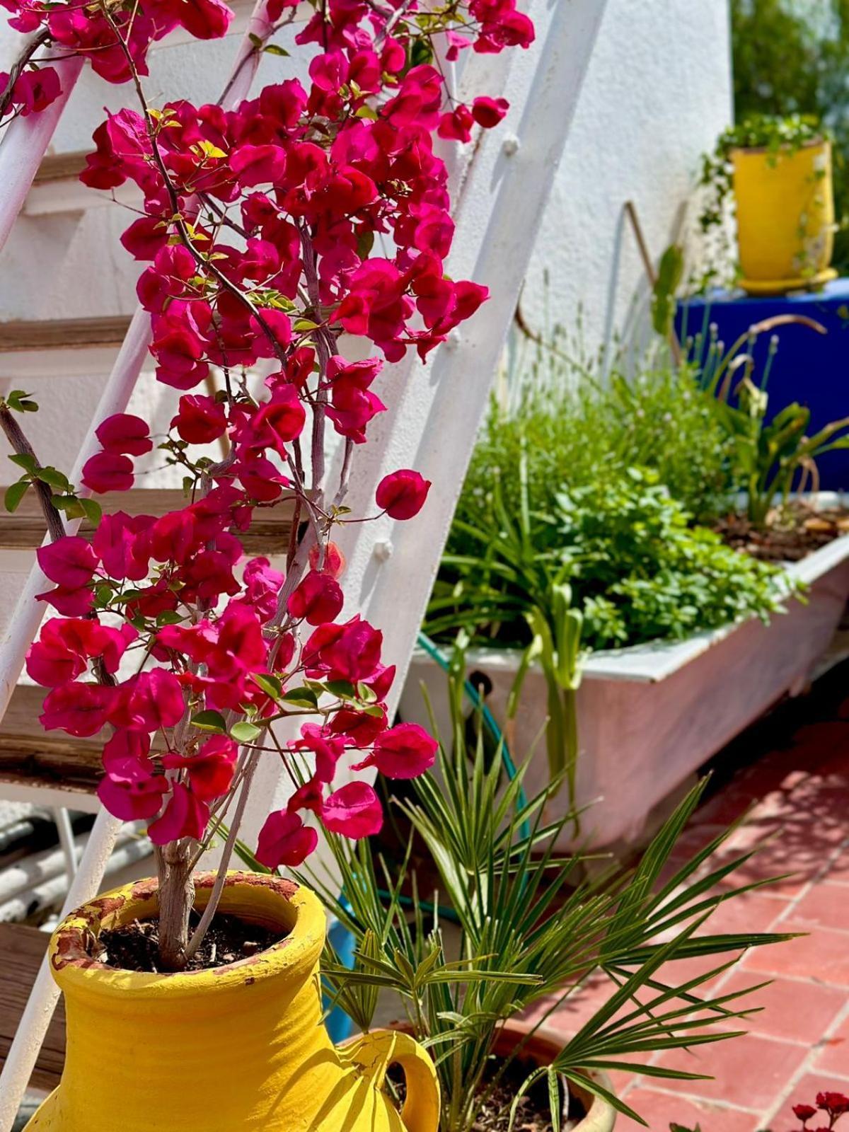Nomads Hostel Tunisia Tunes Exterior foto